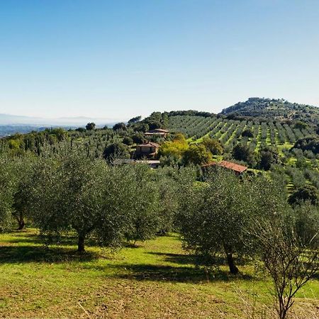 The Country House Montali Tavernelle  Bagian luar foto
