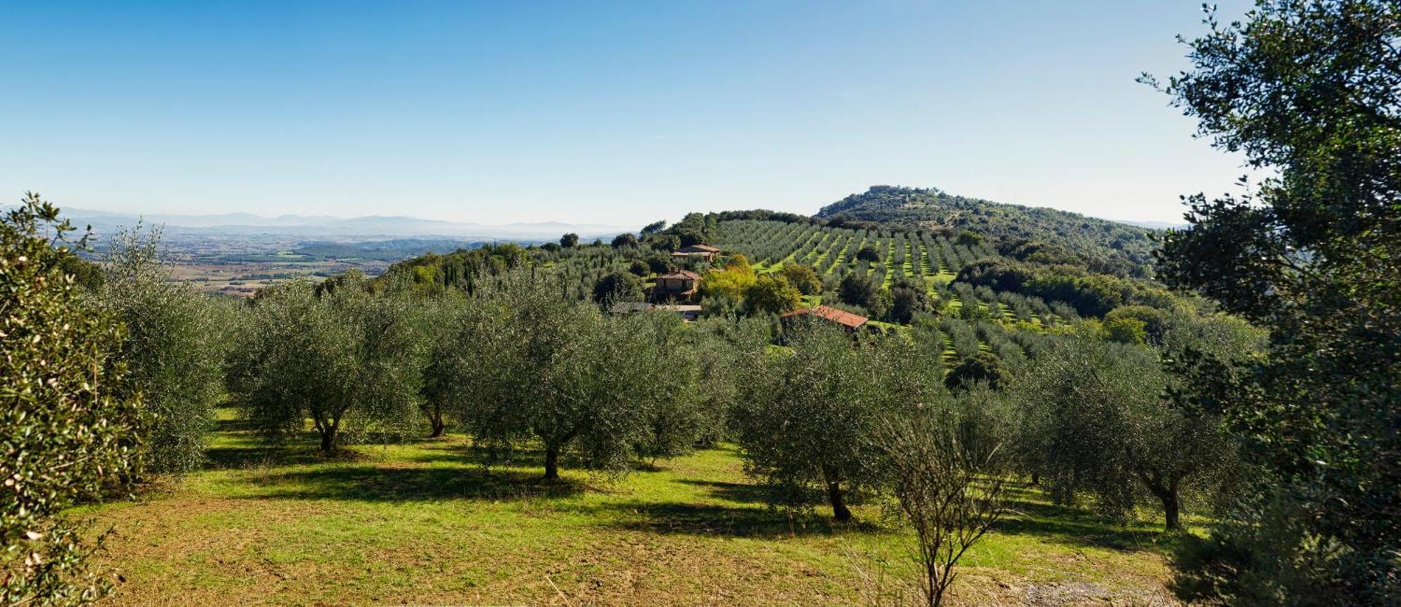 The Country House Montali Tavernelle  Bagian luar foto